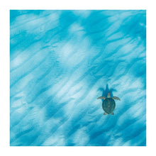 Green Sea Turtle The Bigger Picture Card