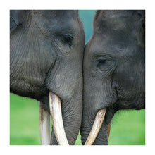 Asian Elephant The Bigger Picture Card