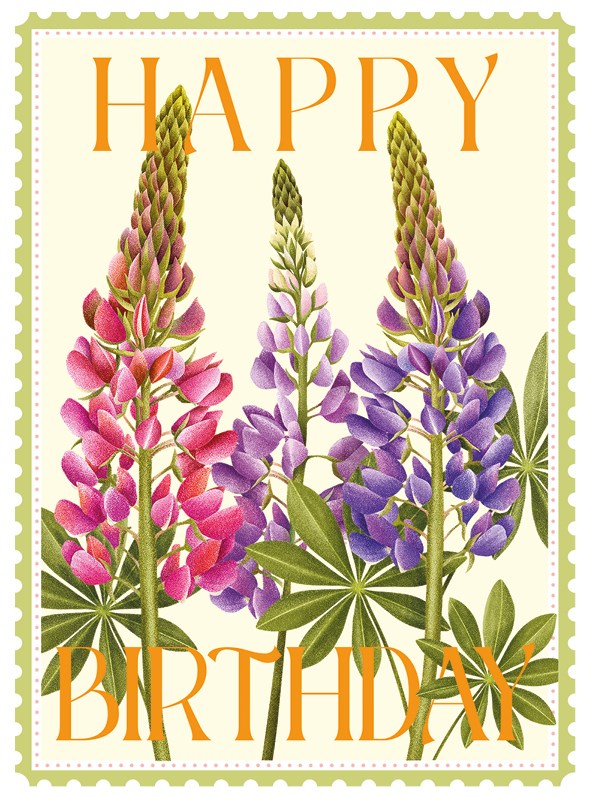 Lupins Colourburst Card