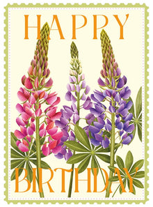 Lupins Colourburst Card