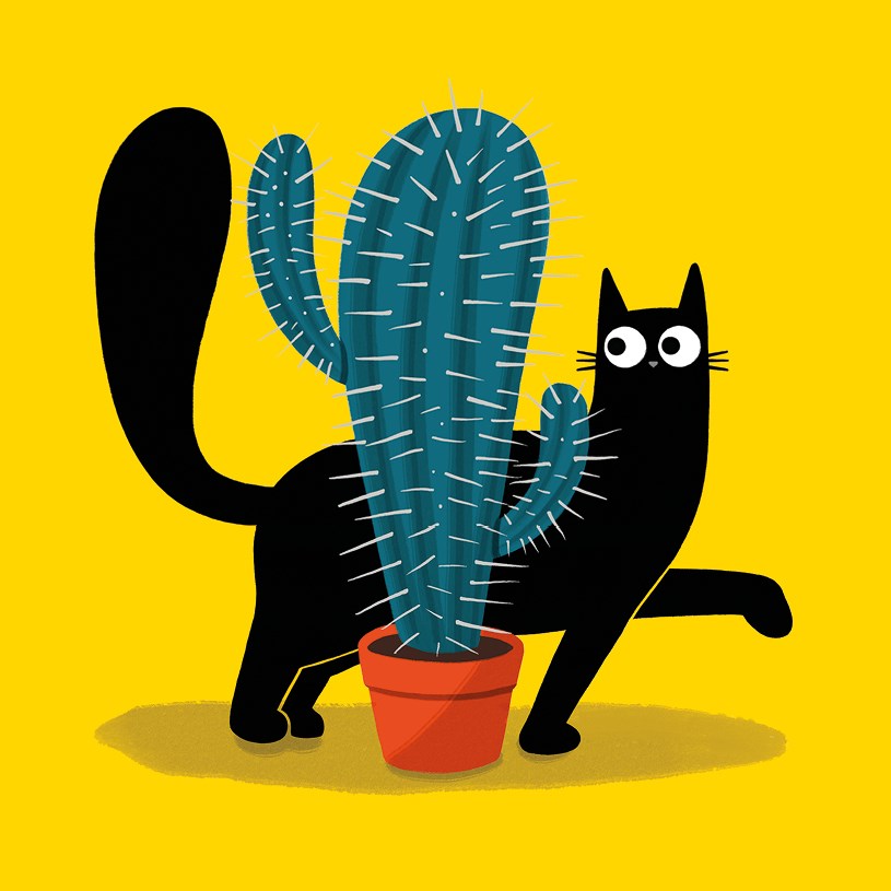 Cacti Cats Cat Walk Card