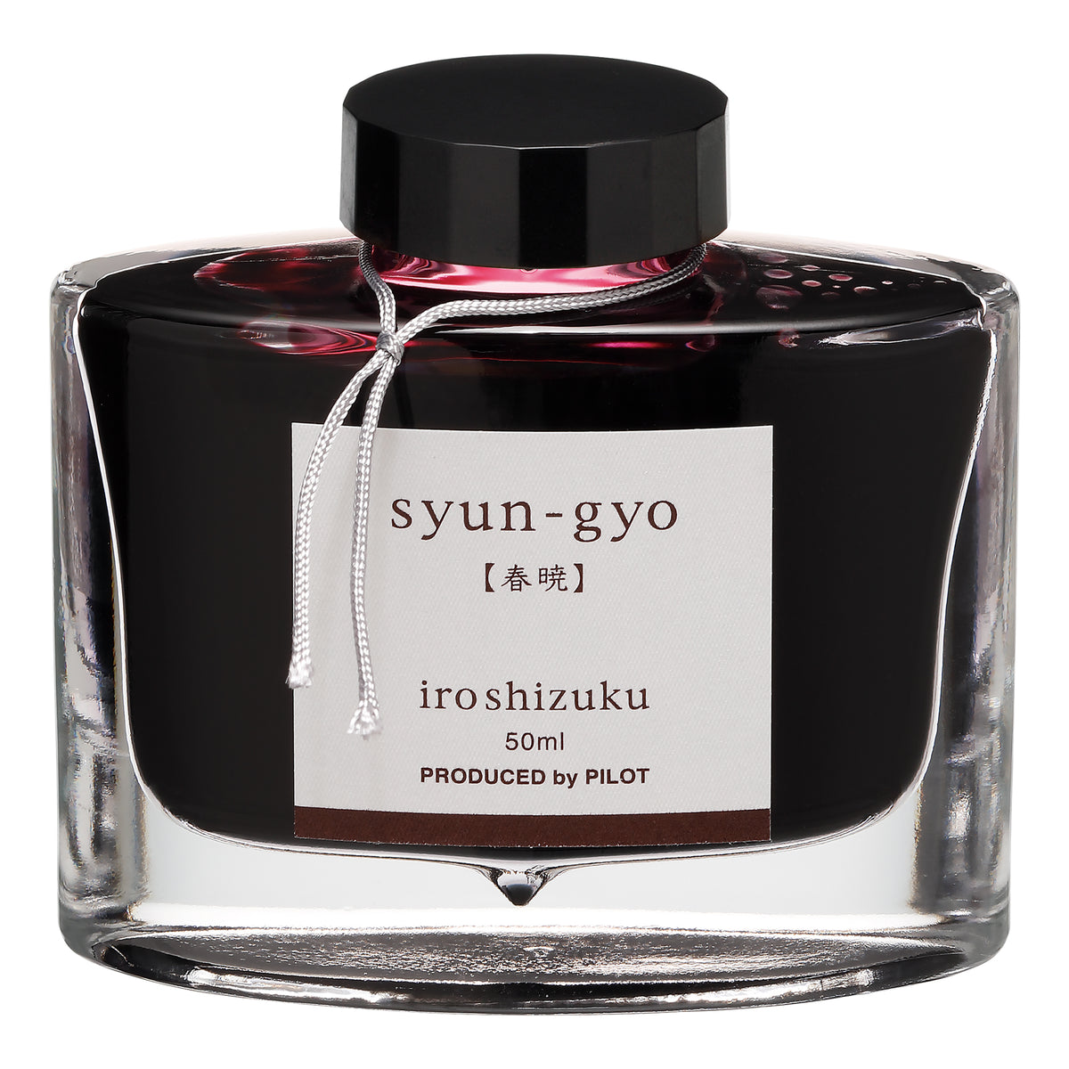 Pilot Iroshizuku Fountain Pen Ink 50ml Bottle – image 19