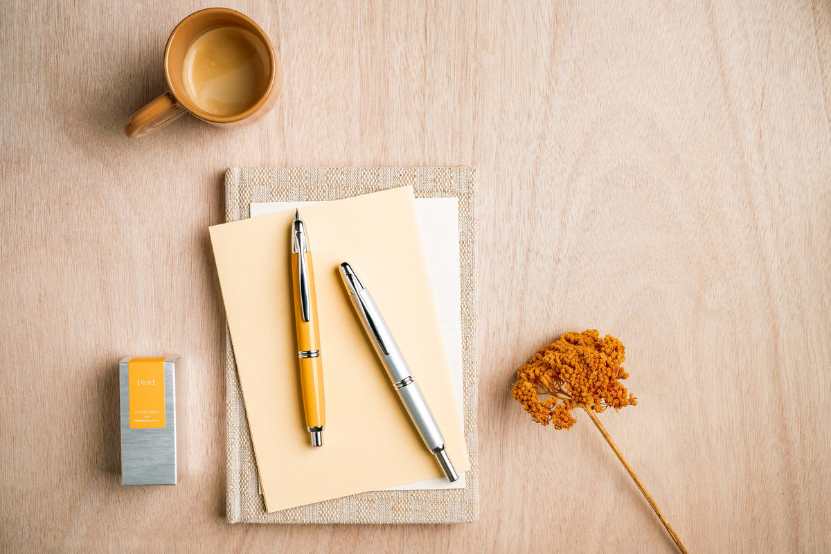 Pilot Capless Rhodium Trim Fountain Pen – image 8