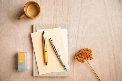 Pilot Capless Rhodium Trim Fountain Pen – image 8