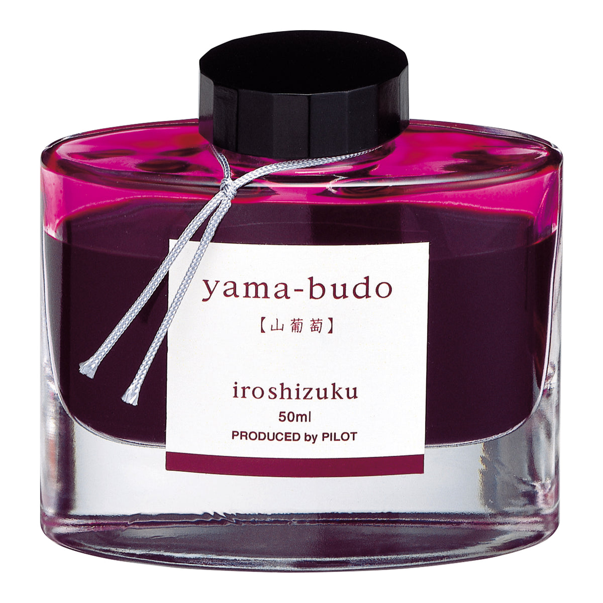 Pilot Iroshizuku Fountain Pen Ink 50ml Bottle – image 23