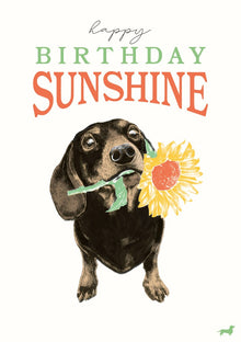 Happy Birthday Sunshine Call Me Frank Card