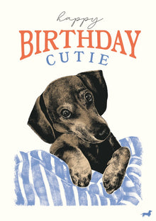 Birthday Cutie Call Me Frank Card