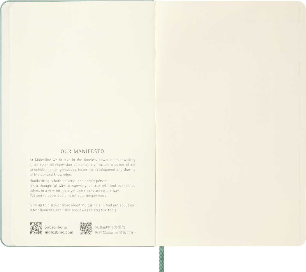 Moleskine Sage Green notebook – open showing plain ivory pages