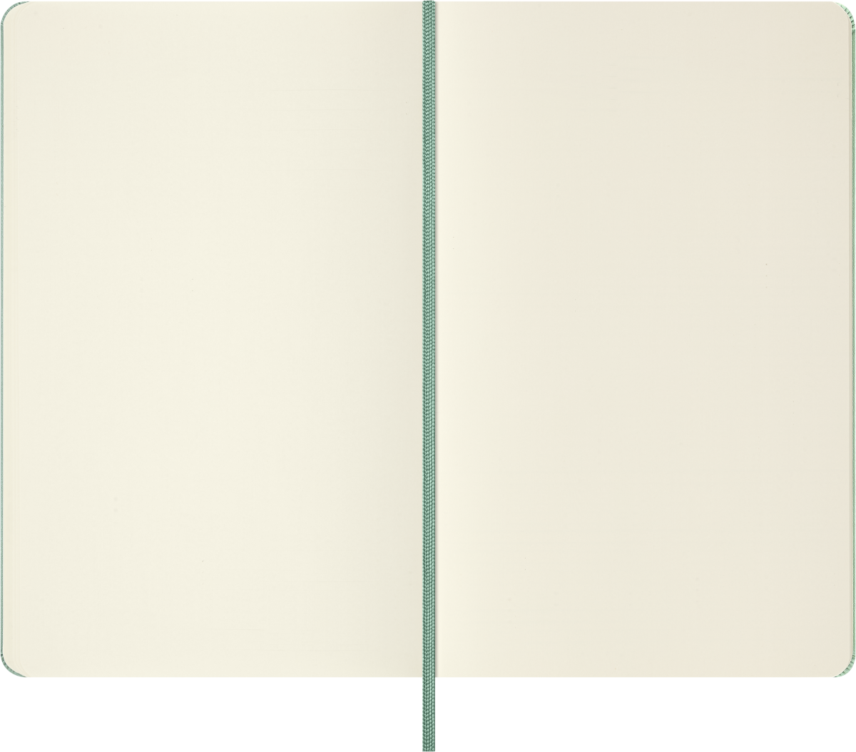 Moleskine Sage Green notebook – debossed cover detail
