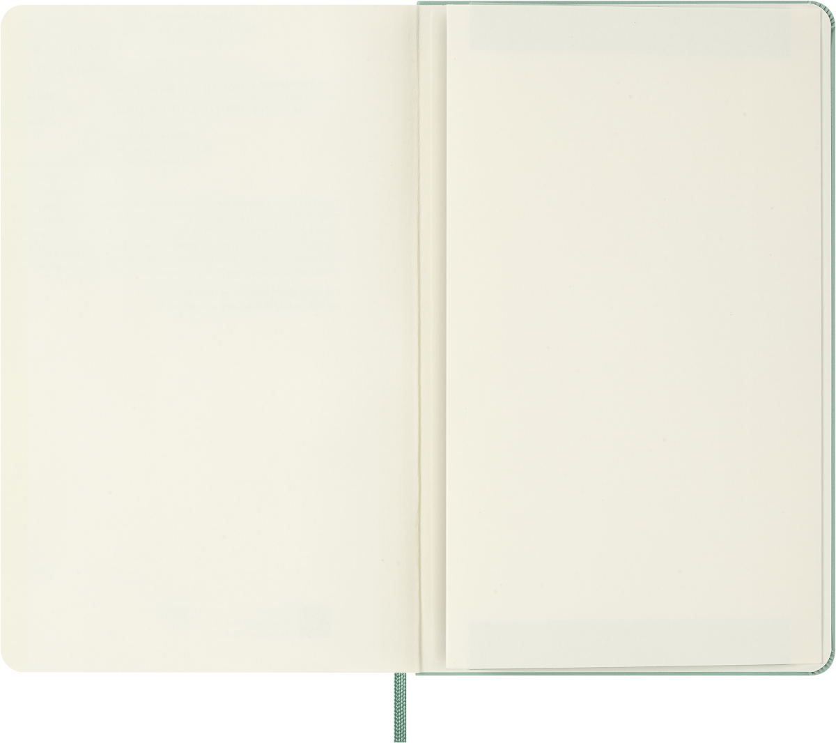 Moleskine Sage Green notebook – bookmark and elastic closure