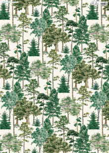 Major Oak Gift Wrap
