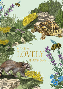 Have a Lovely Birthday Habitania Card