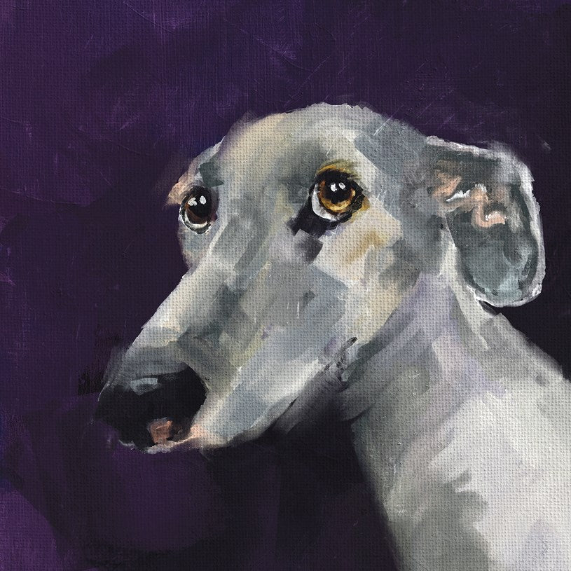 Walter the Dog Hounds Card