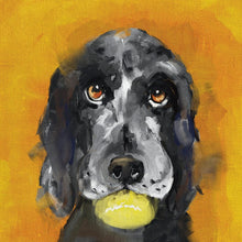 Harold the Dog Hounds Card