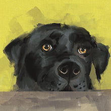 Hector Hounds Card