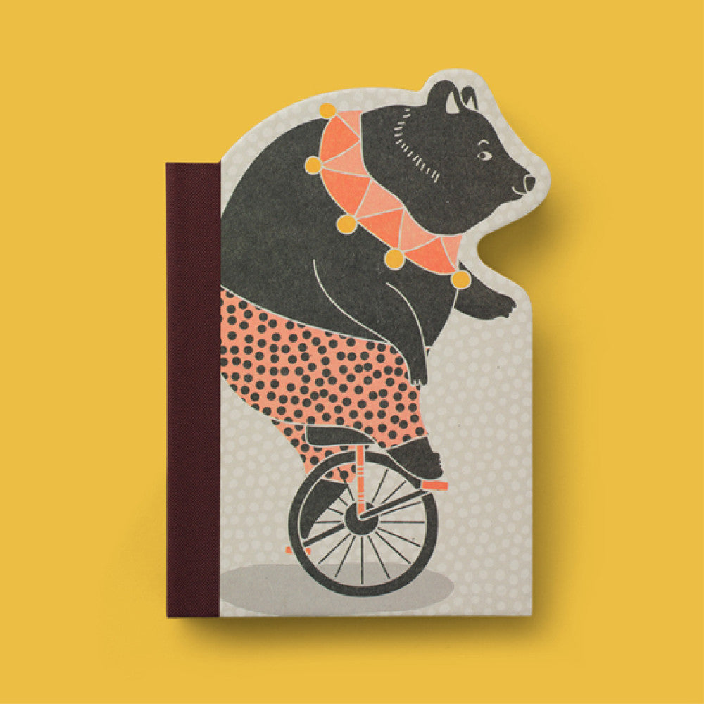 Eclectionery Notable Books - Bike Bear