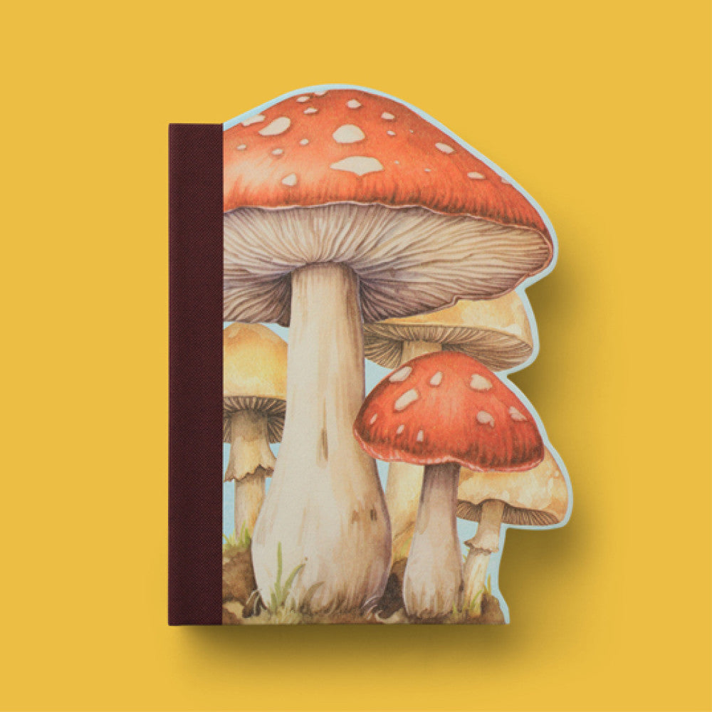 Eclectionery Notable Books - Toadstools