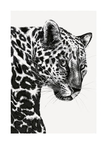 Leopard Ink & Shadow Card