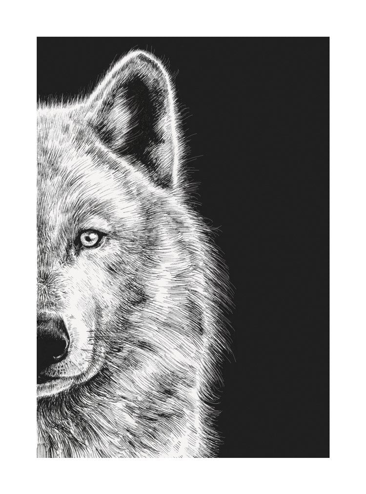 Arctic Wolf Ink & Shadow Card