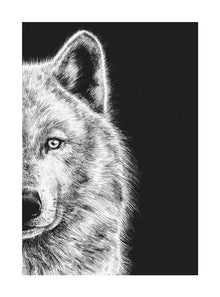 Arctic Wolf Ink & Shadow Card