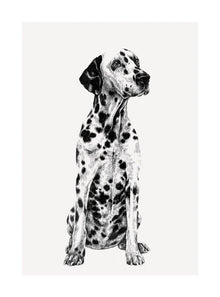 Dalmation Ink & Shadow Card