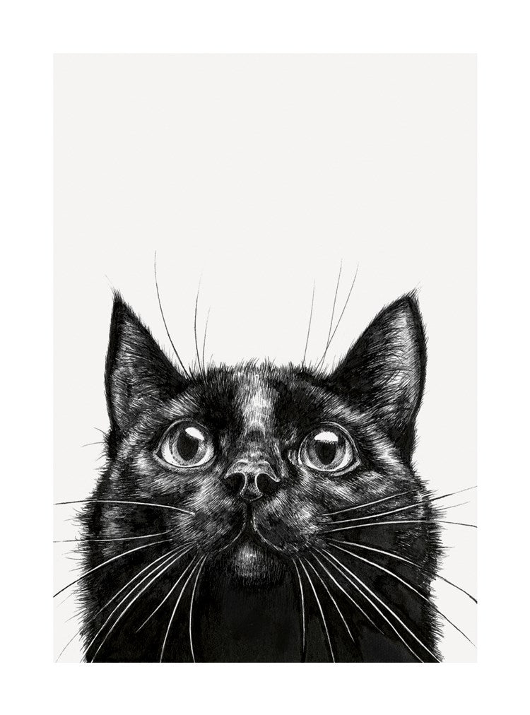 Black Cat Ink & Shadow Card