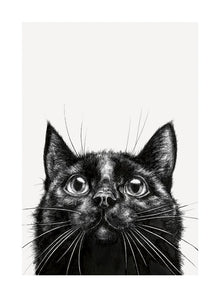 Black Cat Ink & Shadow Card