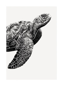 Sea Turtle Ink & Shadow Card