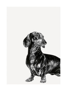 Dachshund Ink & Shadow Card