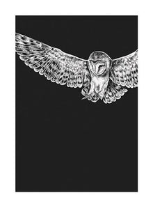 Barn Owl Ink & Shadow Card