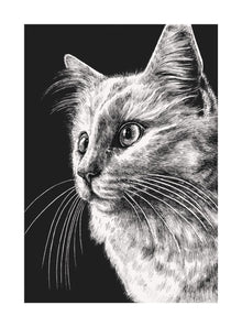 White Cat Ink & Shadow Card