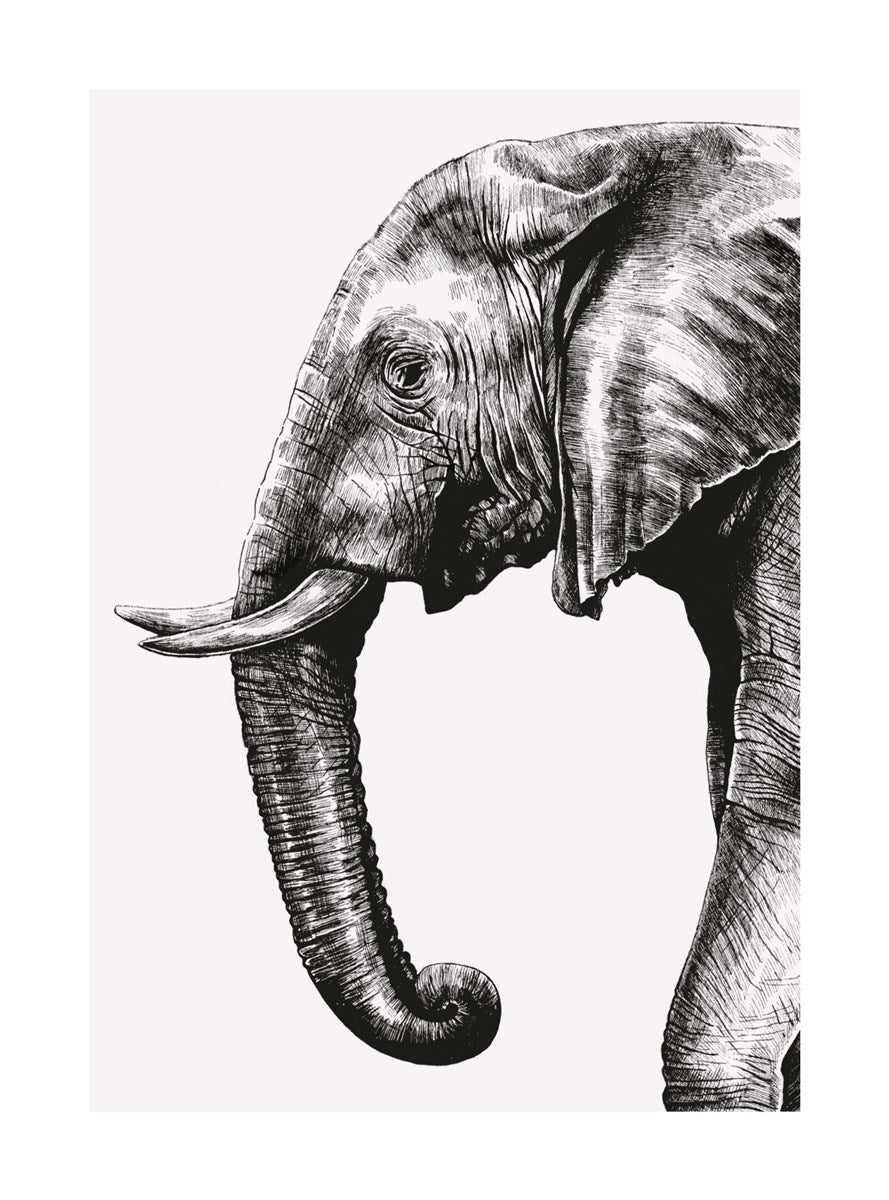 African Elephant Ink & Shadow Card