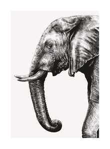African Elephant Ink & Shadow Card
