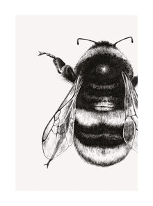 Bumble Bee Ink & Shadow Card