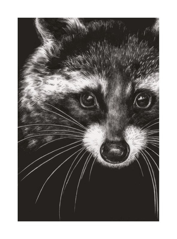 Racoon Ink & Shadow Card