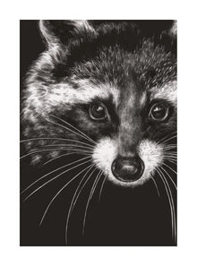 Racoon Ink & Shadow Card