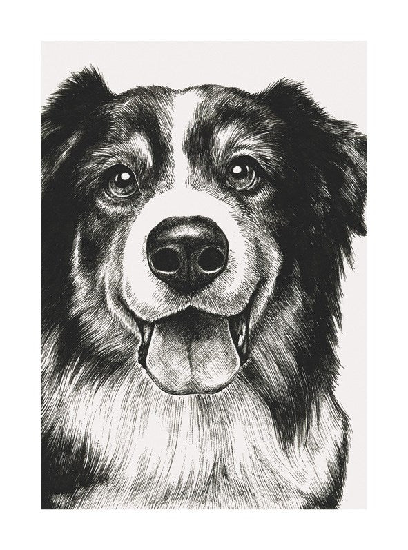 Sheep Dog Ink & Shadow Card