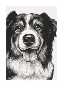 Sheep Dog Ink & Shadow Card