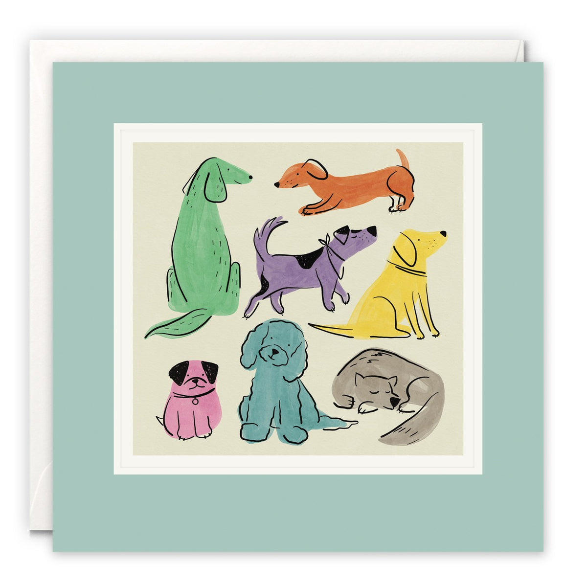 Line drawings of seven colourful dogs, including a pug, dachshund and cockapoo, on cream