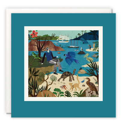 Collage of a sailor on a tropical shore with a tortoise, parrot and cats, tall ships in the bay