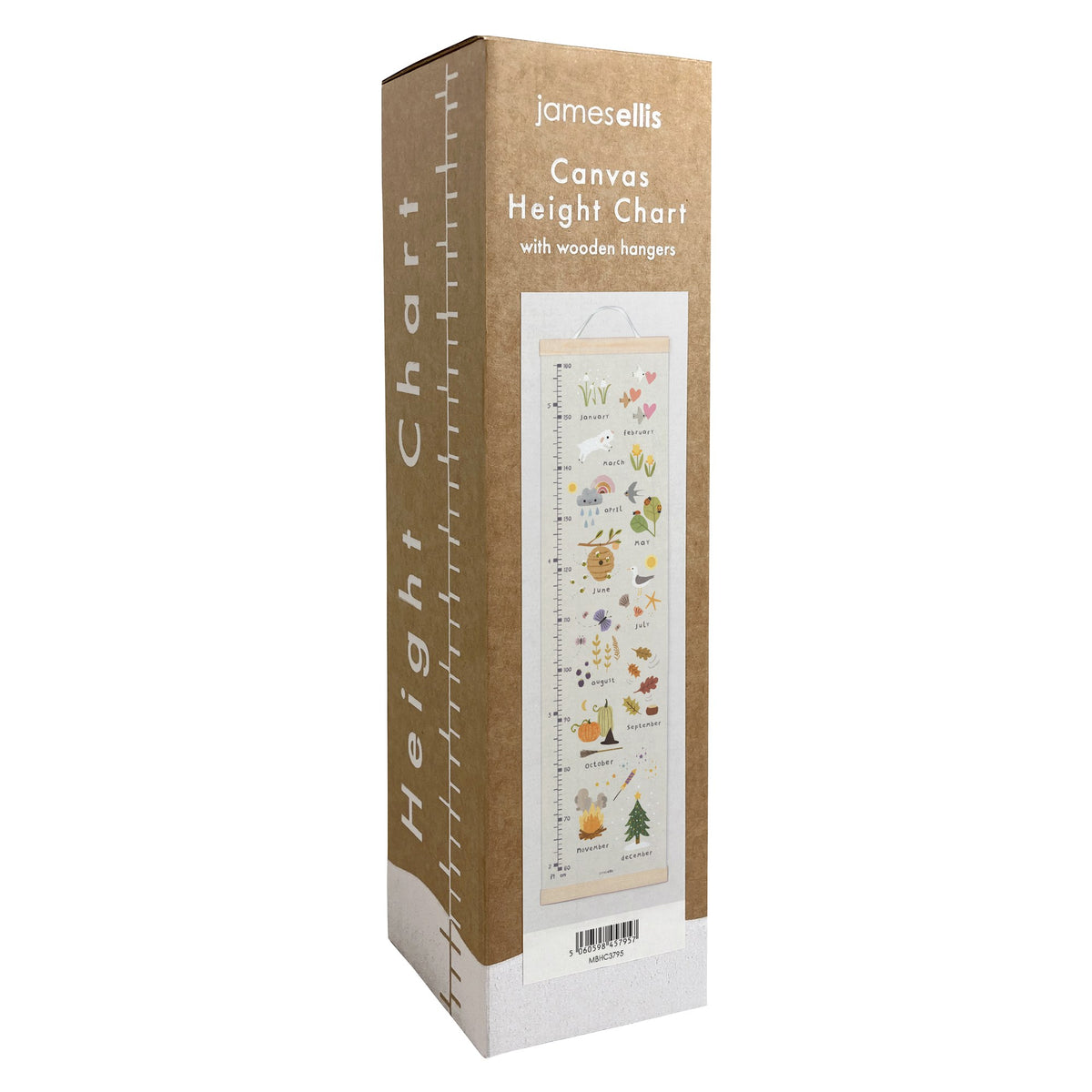 Months of the Year Canvas Height Chart – view 3