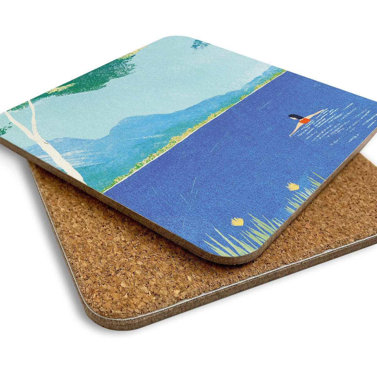 Lake Swimming Coaster – view 2