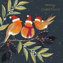 Festive Robins Luxury Christmas Card Box (8 Cards)