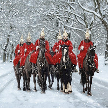 Horse Guards in Snow Luxury Christmas Card Box (8 Cards)