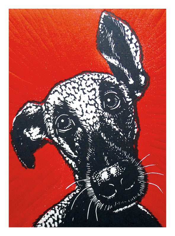 Red Dog Lop-Eared Merlin Card