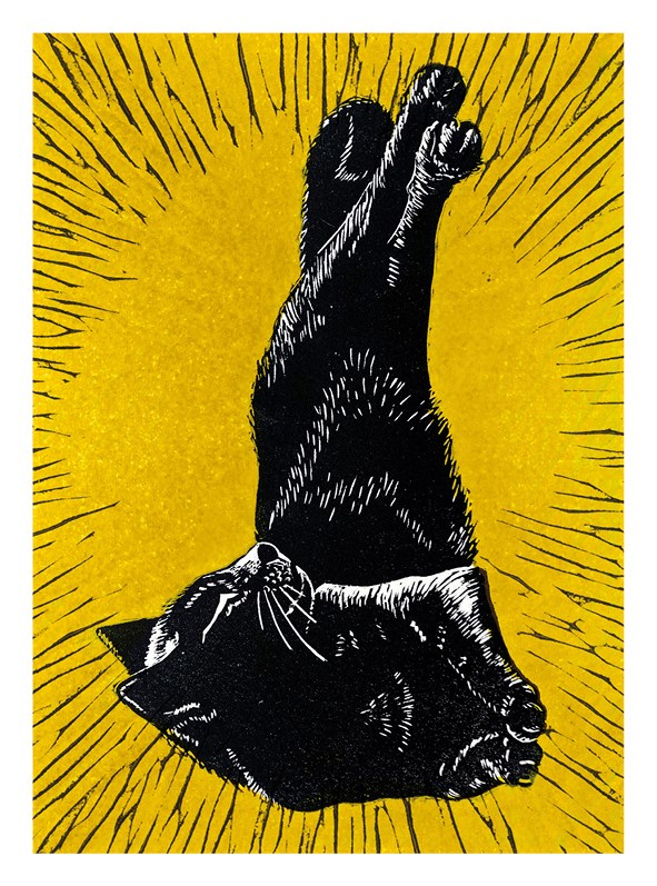 Black Cat Lop-Eared Merlin Card