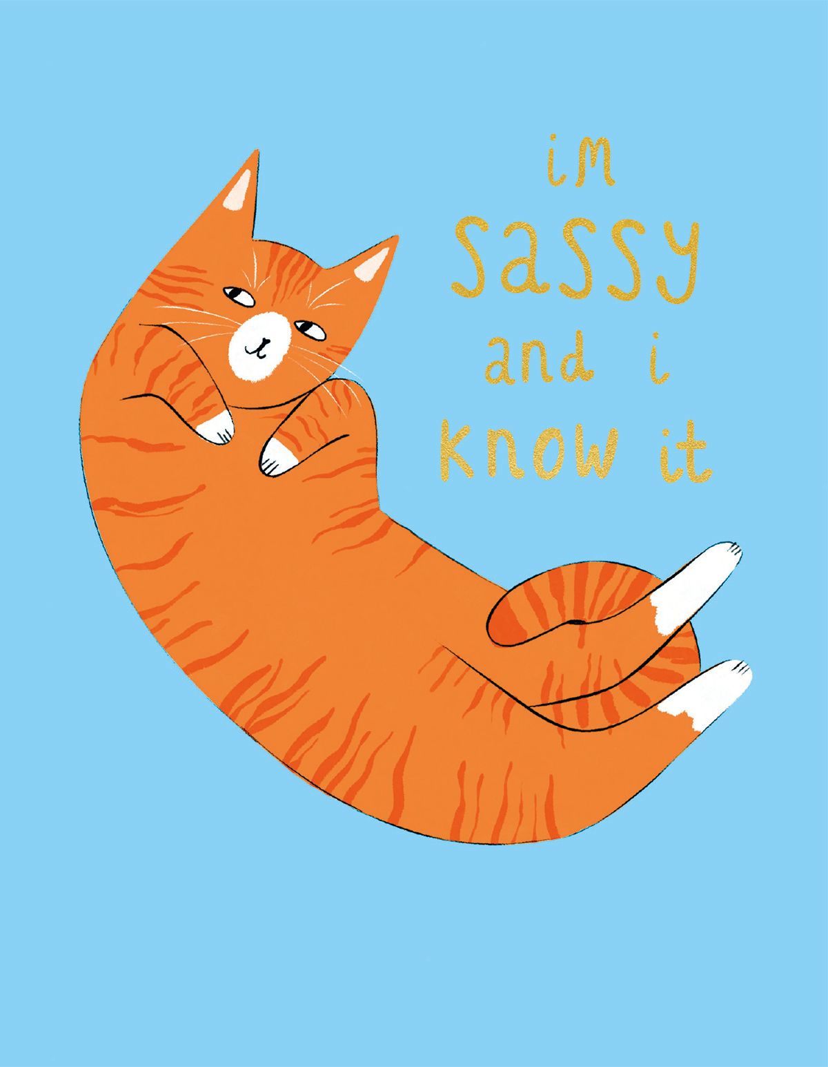 Amy Hodkin Sassy Cat Greeting Card