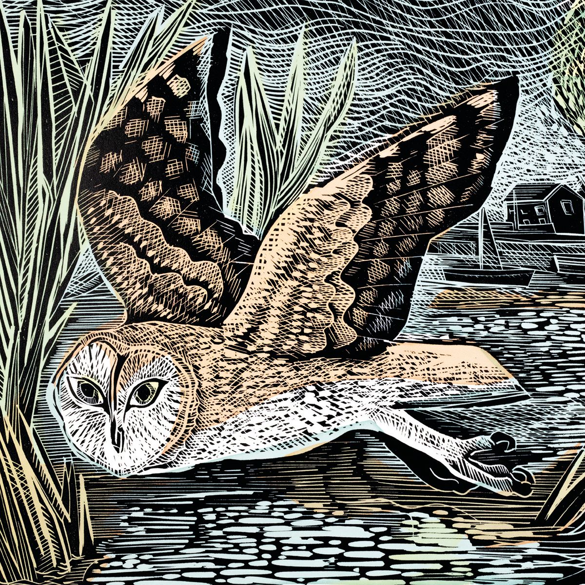 Angela Harding Marsh Owl Art Card