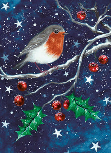 Annabel Spenceley Little Robin Christmas Card Pack
