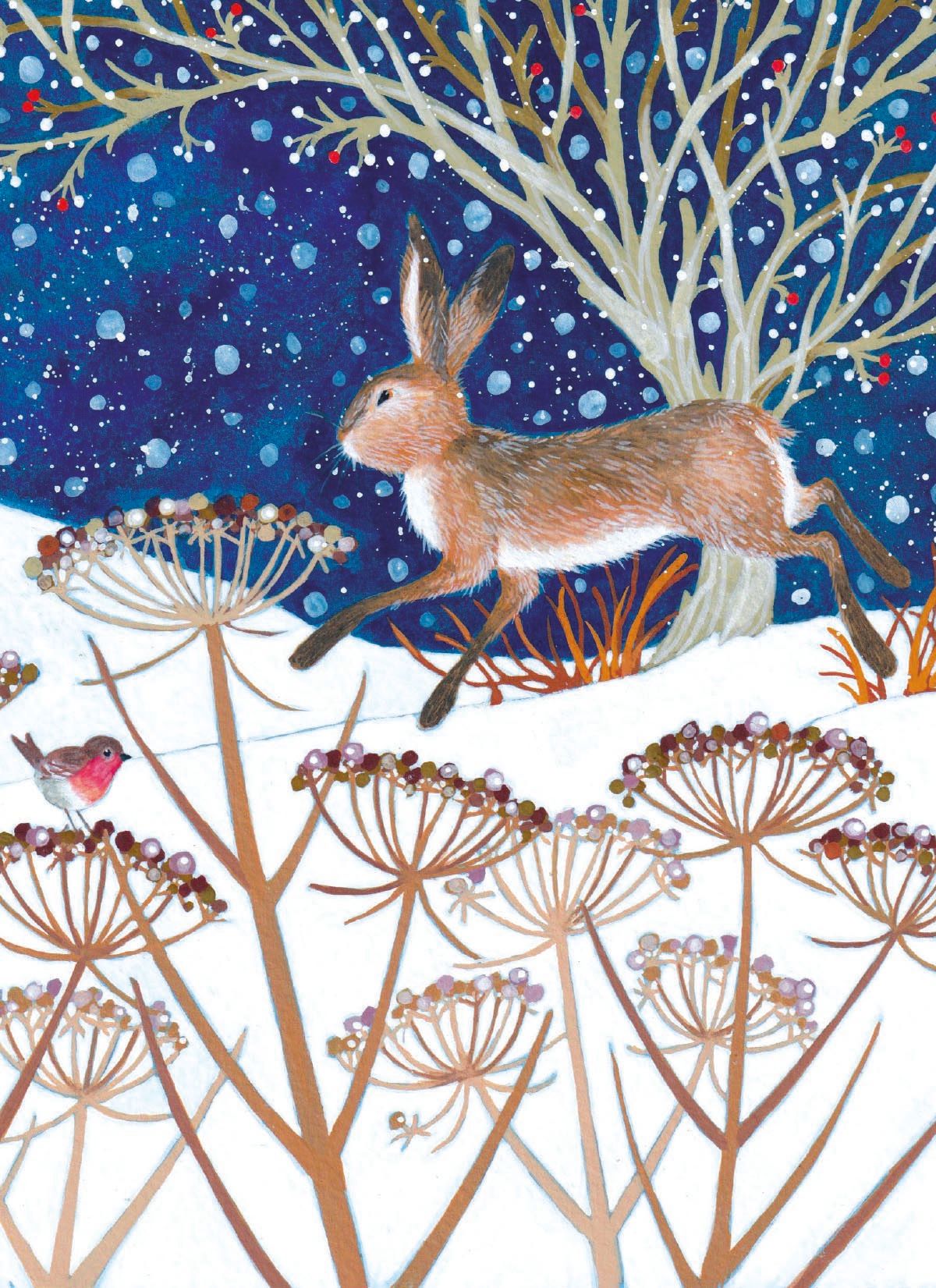 Annabel Spenceley Night Snow Hare Christmas Card Pack